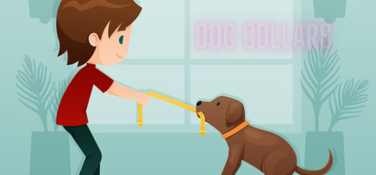 How to Clean a Dog Collar