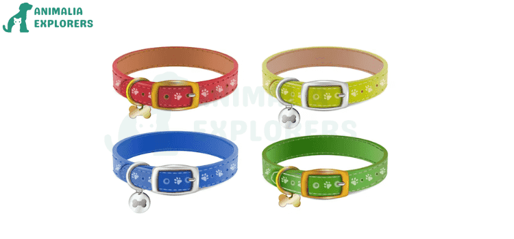 Beautiful dog collars of different colors