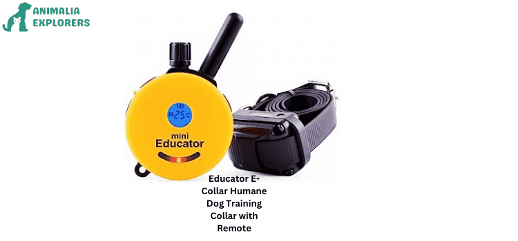 Educator E-Collar Remote Dog Trainer