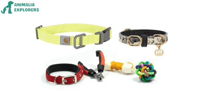 Beautiful different types of dog collars