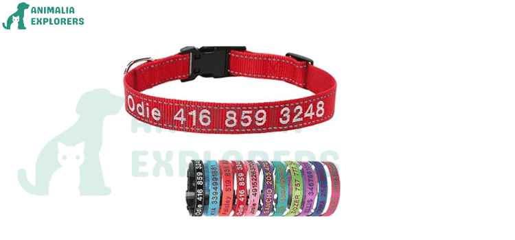 Yonsbox Red Reflective Personalized Dog Collar with Name Phone Number
