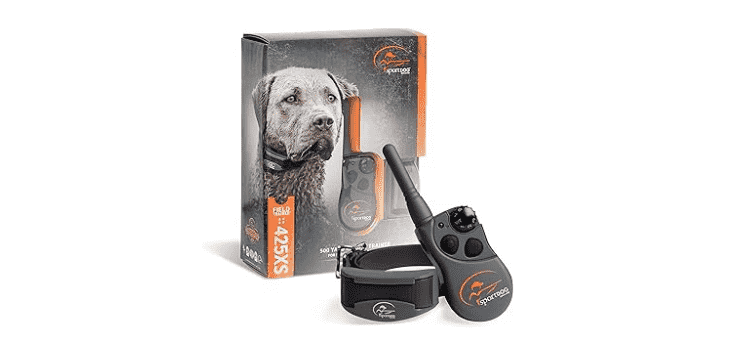 electric collars for dogs